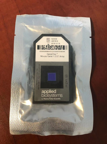 520558 New Applied Biosystems GeneChip Mouse Gene 1.0 ST Array | GEMEN LAB