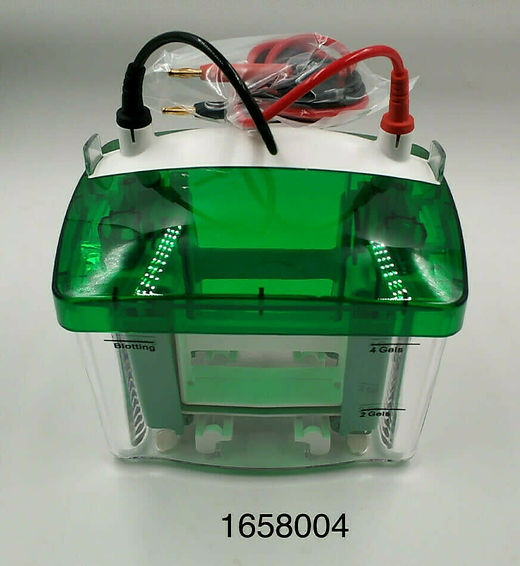 OEM parts for Bio-Rad 1658004 Mini-PROTEAN Tetra Vertical