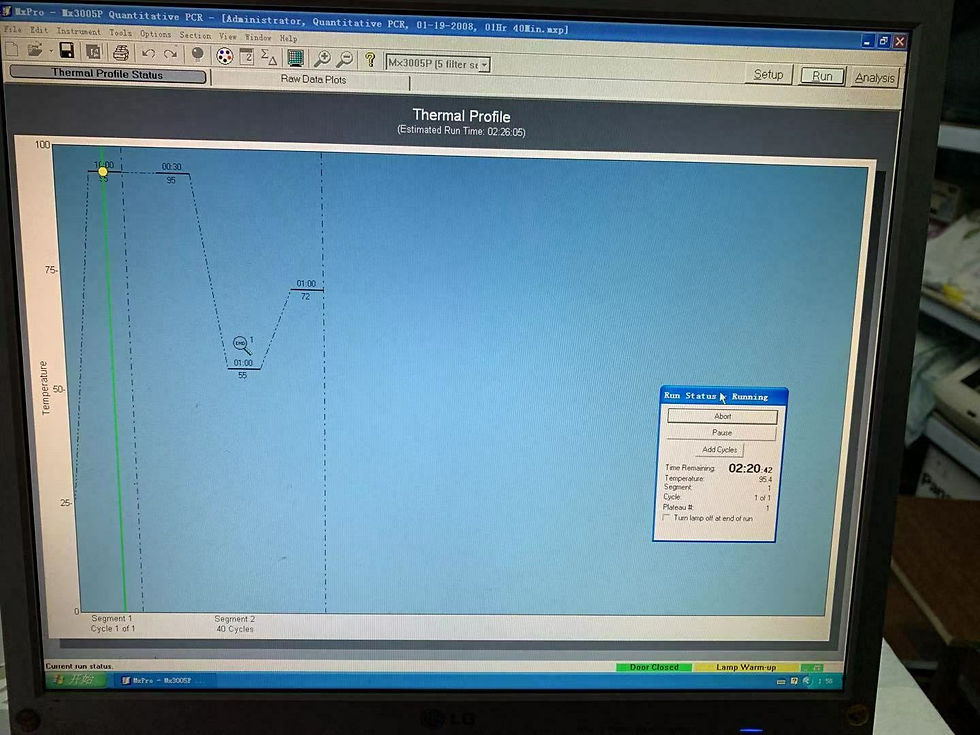 Thumbnail: Agilent Technologies Stratagene Mx3005P Qpcr with Software, 90 days warranty