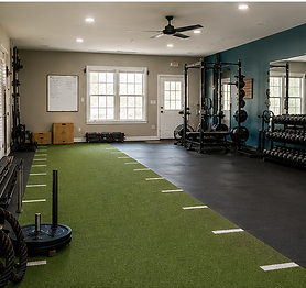 gym_clean_turf_view.png