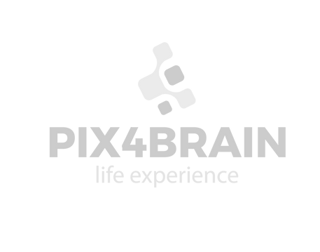 PIX4BRAIN_edited.png