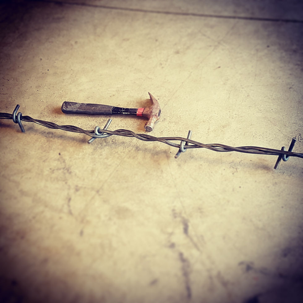 Barbed Wire