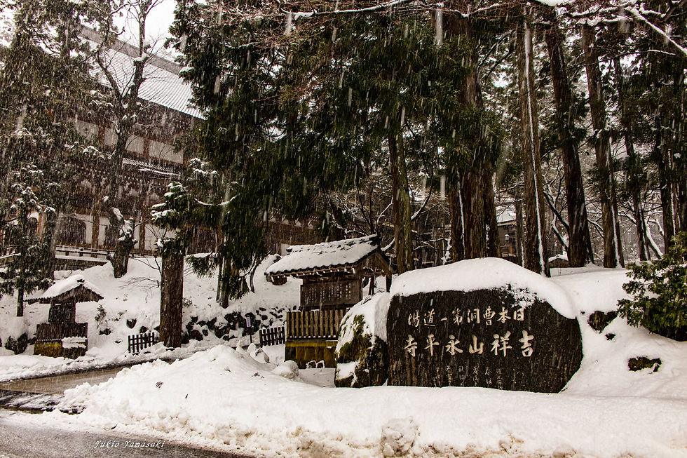雪で包まれた永平寺