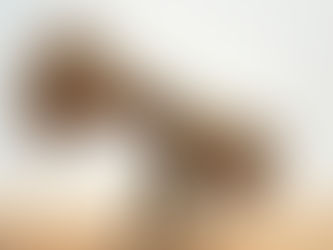 When Caring for Others Becomes Compulsive