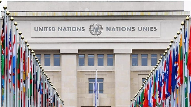 ONU1.jpg