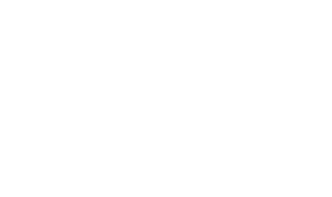 Auto Landi