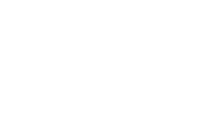 Siderurgica Veneta