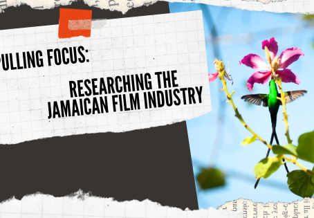 Skills and Resources in Jamaican Filmmaking