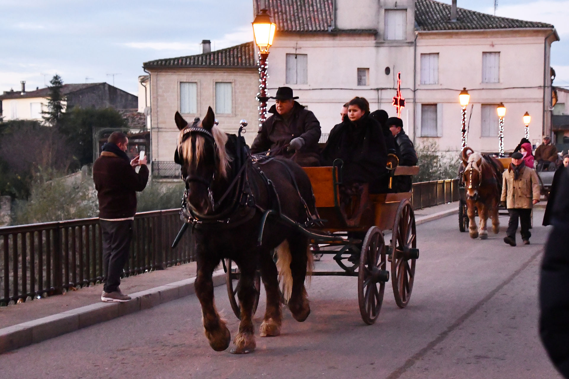 Attelage lors d'un Charroi des Olives organisé par l'association.