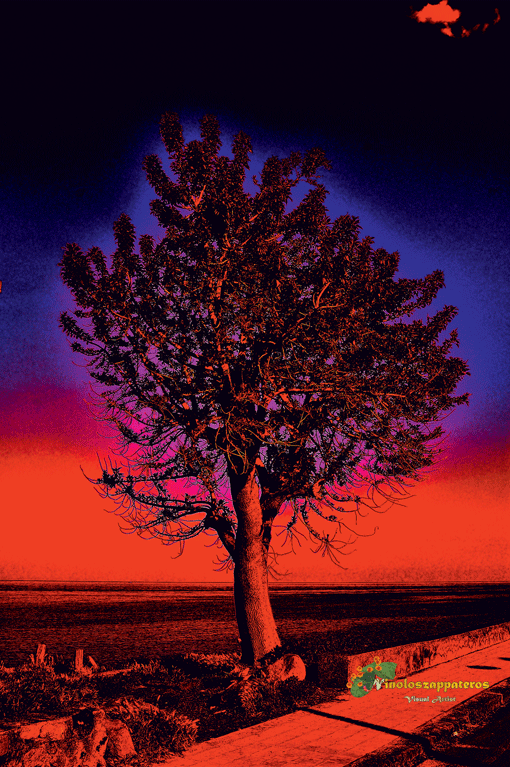 albero-di-fuoco
