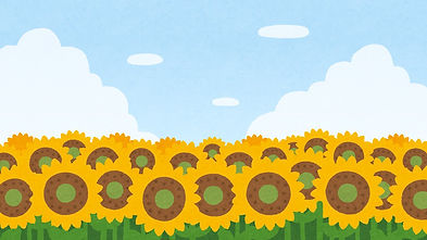 夏🌻2.jpg
