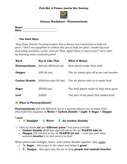 Thumbnail: Curriculum Workbook, Pick Me! A Flower Awaits Her Destiny(Hardcover)