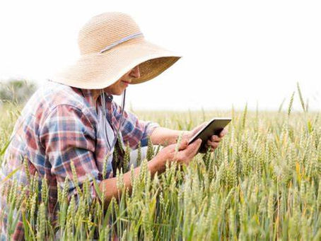 ‘Integrity Insurance’? New Insights on Citizen Science