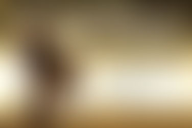 Be bold and of good courage!