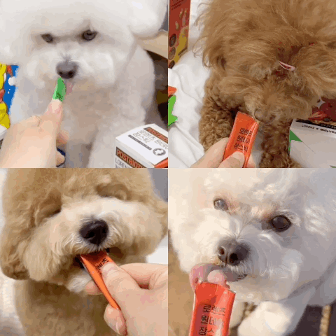 copy-1706691150-vllo204.gif
