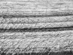 Großer Aletschlgetscher in der Schweiz