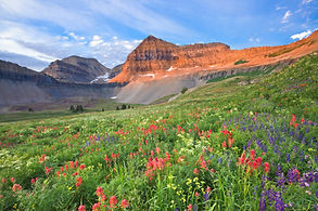 AdobeStock_86081205.jpeg