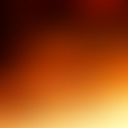 Why I Take Photos Quickly  And Why It Works