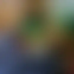 Nourishing the Mind and Body: The Crucial Role of Diet in Well-Being