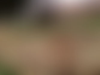 MAUZOLEUM AUGUSTA W RZYMIE