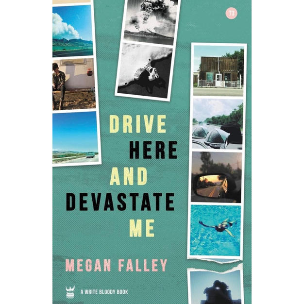 Drive Here and Devastate Me - Megan Falley