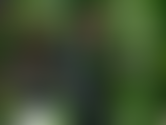 Paz Vega en una escena de Luciérnagas en El Mozote