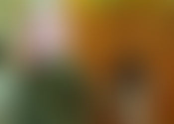 Una película de agallas