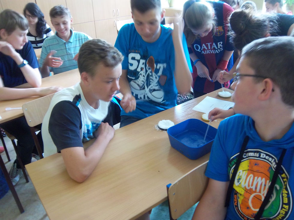 Warsztaty 2014