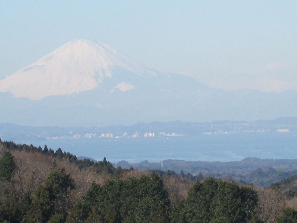 丘の上から、ズームで撮った富士山。