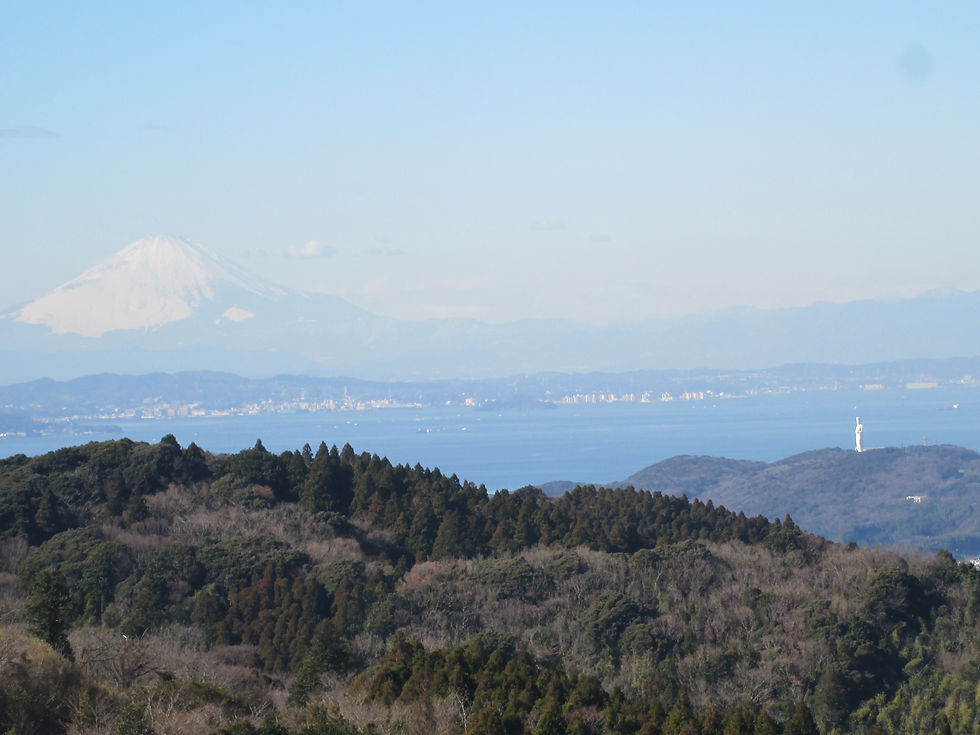 鹿野山山頂から東京湾・富士山を望む