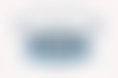 The Strategy Execution Bridge: Why Strategy Fails in the Middle