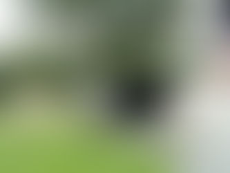 Σκύλος: Τα πρώτα δείγματα επιθετικότητας – Δεν τα αφήνουμε να εξελιχθούν