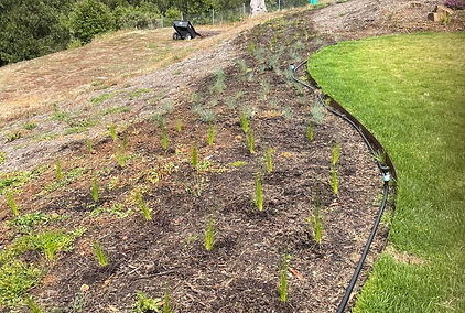 Kinglake job.jpg