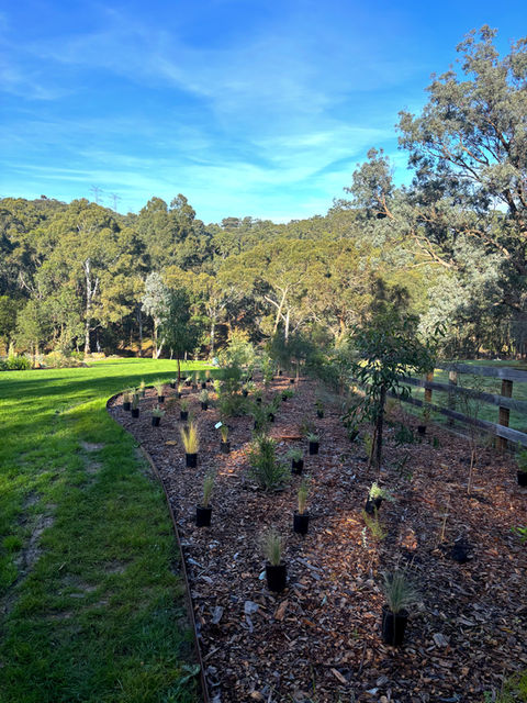 Commercail landing page park orchards_edited.jpg