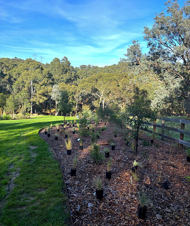 Commercail landing page park orchards_ed