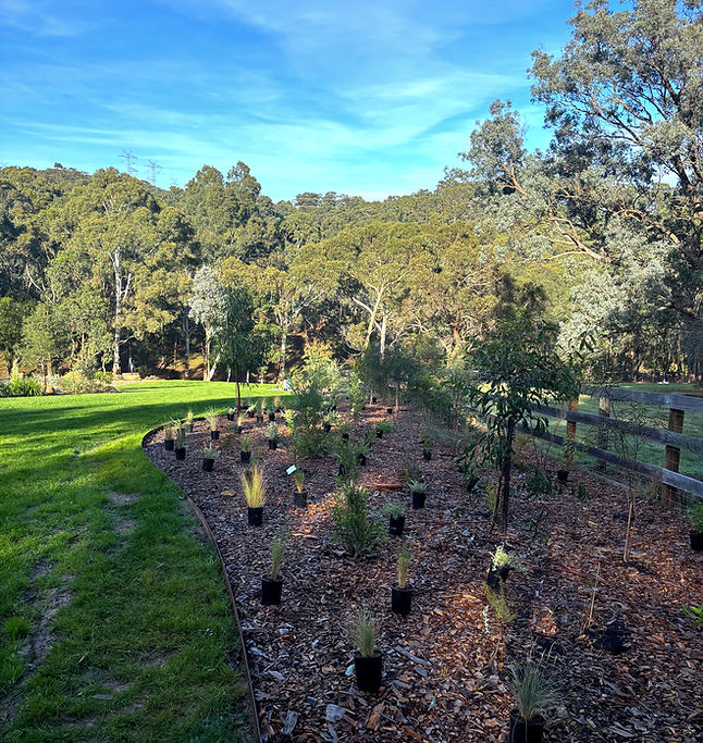 Commercail landing page park orchards_ed