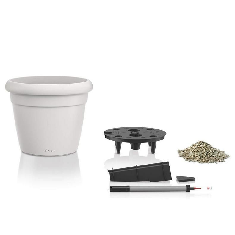 Miniatura: Rustico Color