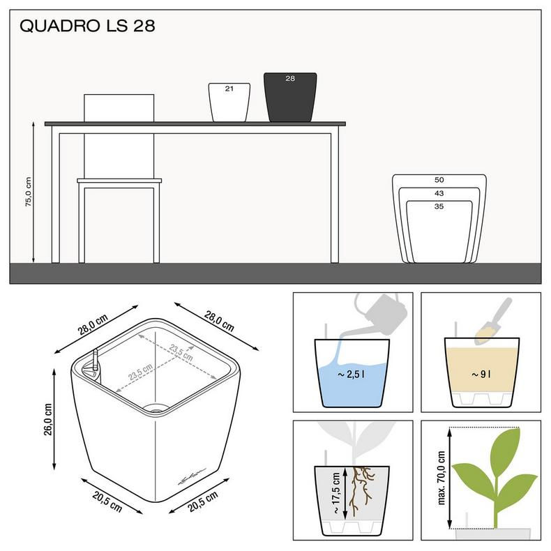 Miniatura: Quadro LS