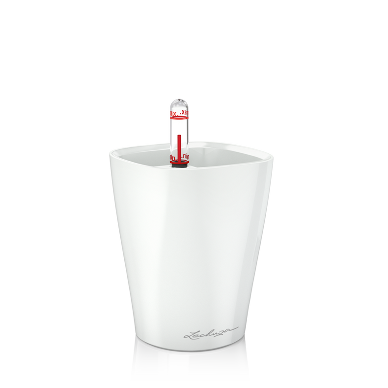 Miniatura: Mini-Deltini