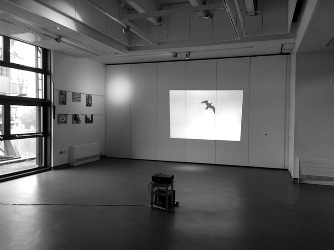 Survivors of trafficking and slavery: Exhibition at the MShed