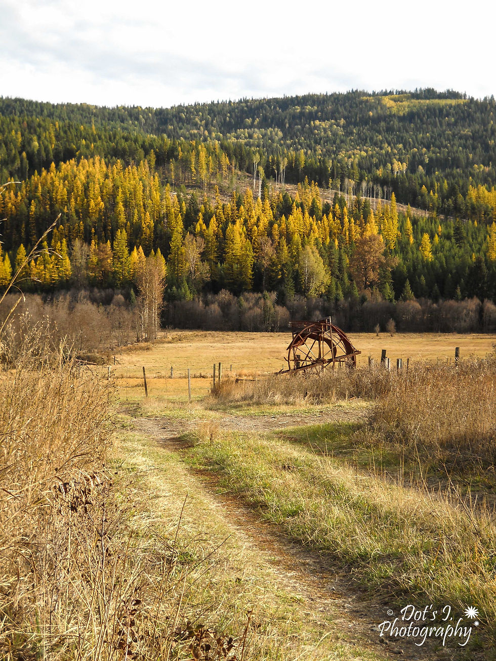 Hwy 3 - East of Grand Forks, BC