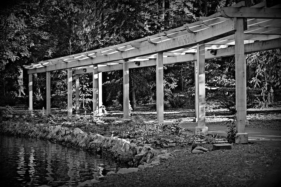 Beacon Hill Park Archway - No watermark