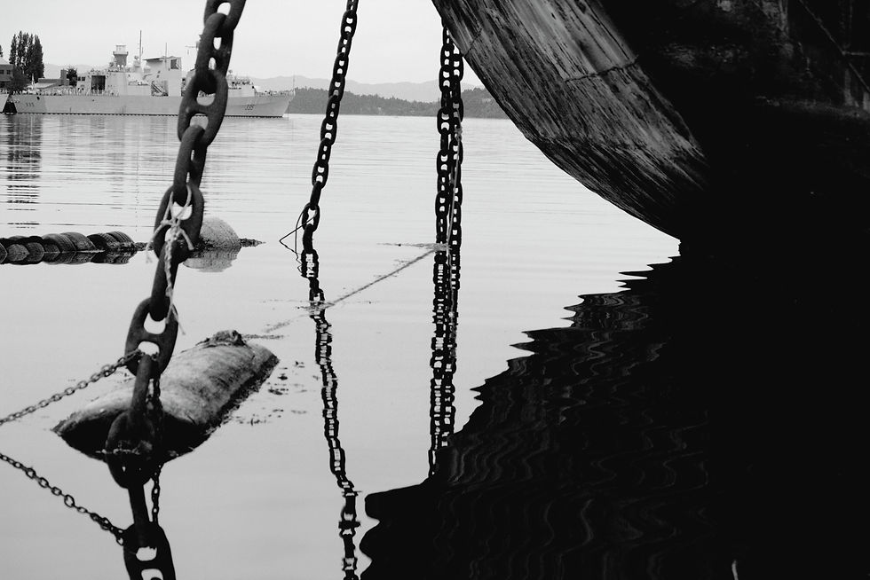 anchored-dorothy-hilde