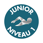 Niveau 1.png