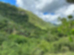 IMG_0338.jpeg