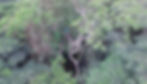 Ankasa with climber 1_edited.jpg