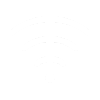 system-regular-102-wifi.gif