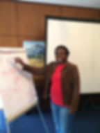 Lead Audit Harare 2016-16