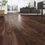 Thumbnail: American Timber