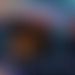 Regeneration und Reflexion: